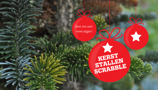 Speel Kerststallen Scrabble!