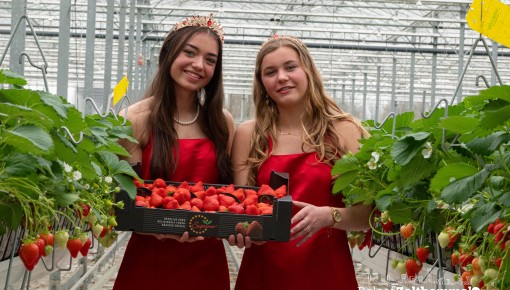 Zaterdag 14 juni bruist Zaltbommel